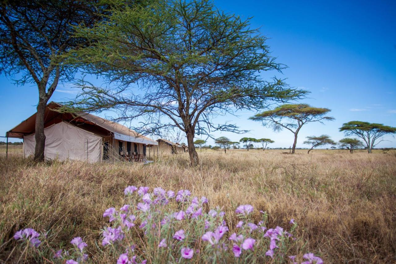 Mawe Tented Camp セレンゲティ エクステリア 写真