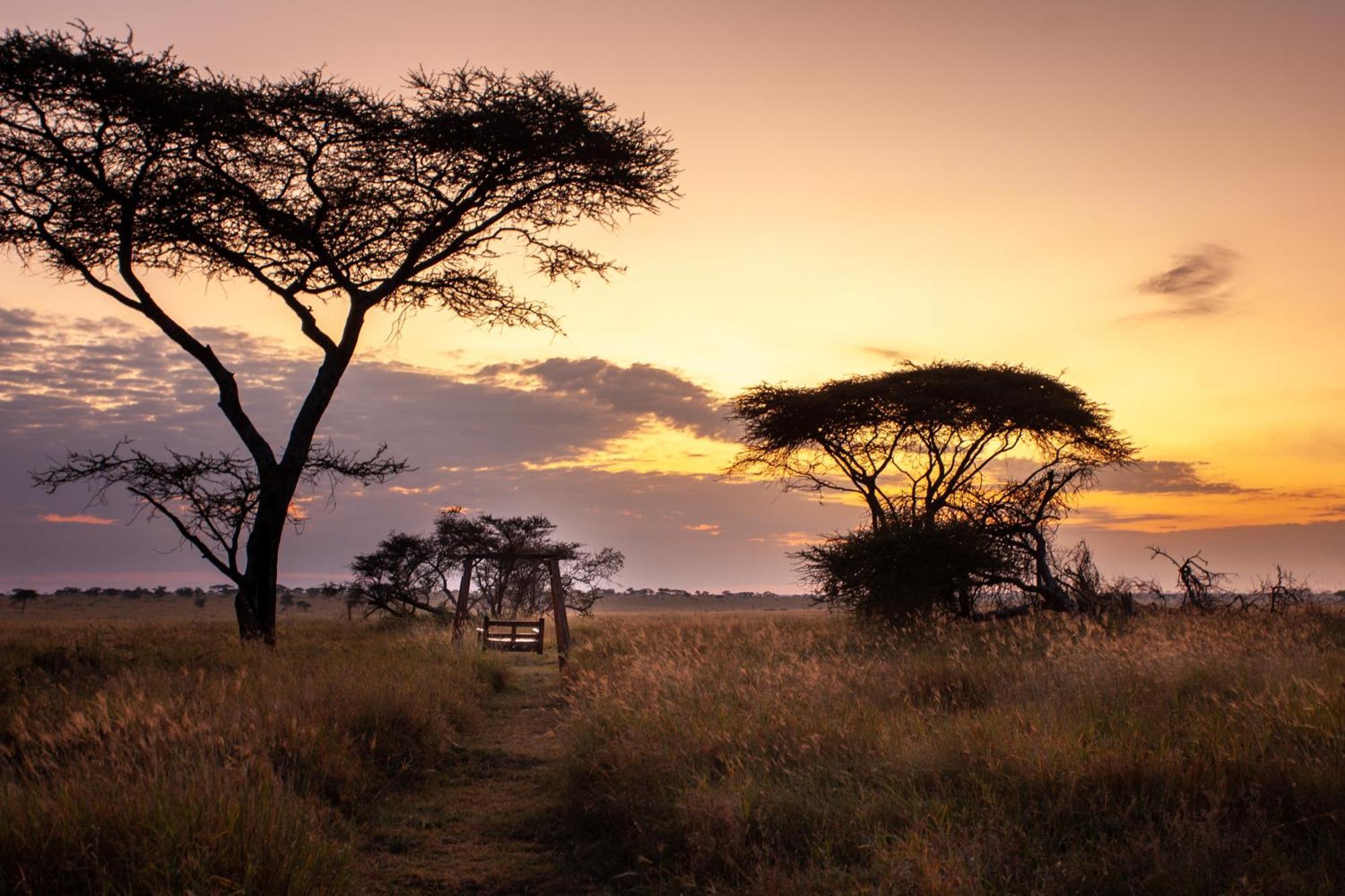 Mawe Tented Camp セレンゲティ エクステリア 写真